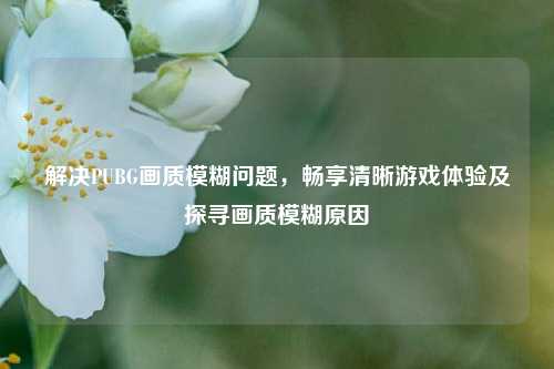 解决PUBG画质模糊问题,畅享清晰游戏体验及探寻画质模糊原因