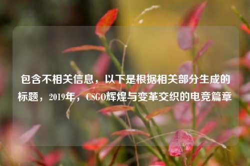 包含不相关信息，以下是根据相关部分生成的标题，2019年，CSGO辉煌与变革交织的电竞篇章