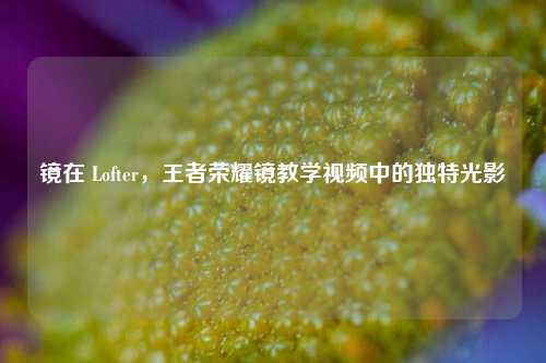 镜在 Lofter,王者荣耀镜教学视频中的独特光影