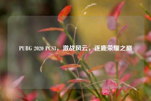 PUBG 2020 PCS3，激战风云，逐鹿荣耀之巅