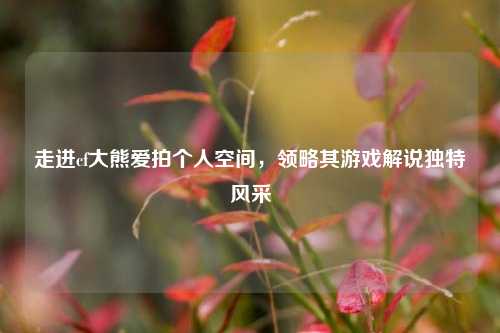 走进cf大熊爱拍个人空间，领略其游戏解说独特风采