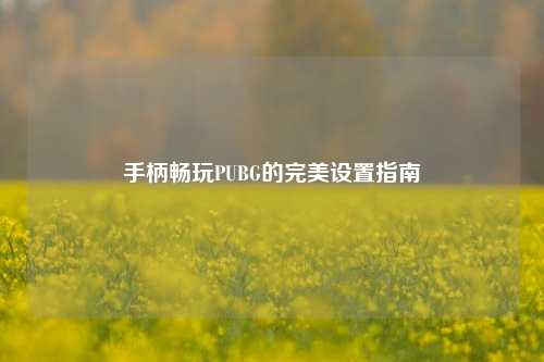 手柄畅玩PUBG的完美设置指南