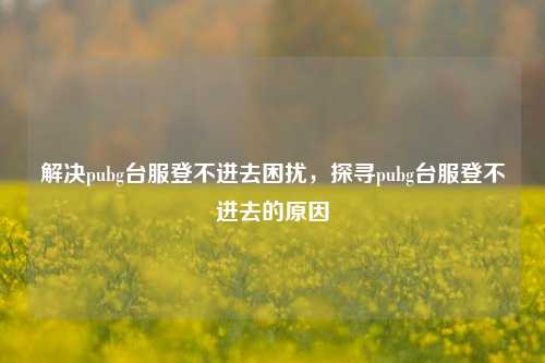 解决pubg台服登不进去困扰，探寻pubg台服登不进去的原因