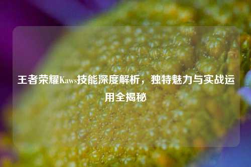 王者荣耀Kaws技能深度解析，独特魅力与实战运用全揭秘