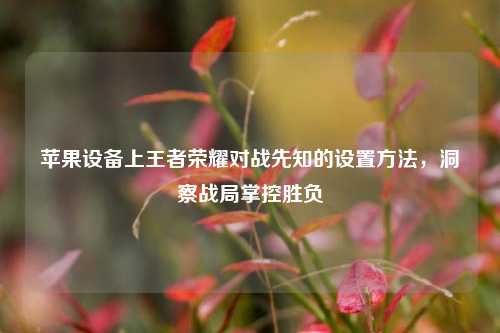 苹果设备上王者荣耀对战先知的设置方法,洞察战局掌控胜负