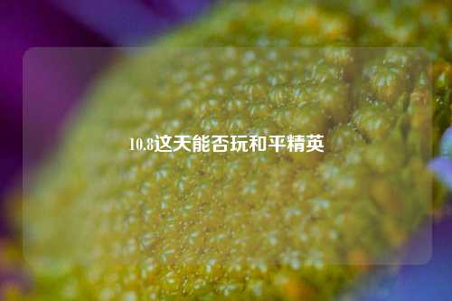 10.8这天能否玩和平精英