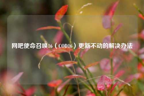 网吧使命召唤16(COD16)更新不动的解决办法
