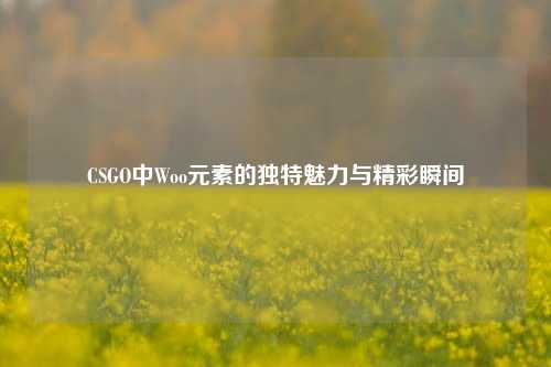 CSGO中Woo元素的独特魅力与精彩瞬间