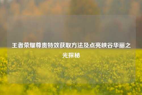 王者荣耀尊贵特效获取方法及点亮峡谷华丽之光探秘
