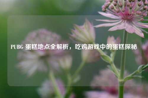 PUBG 蛋糕地点全解析,吃鸡游戏中的蛋糕探秘