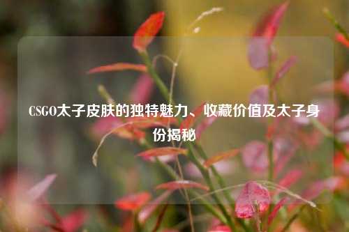 CSGO太子皮肤的独特魅力、收藏价值及太子身份揭秘