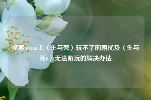 探索Steam上〈生与死〉玩不了的困扰及〈生与死6〉无法游玩的解决办法