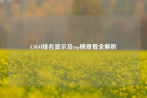 CSGO排名显示及top榜查看全解析