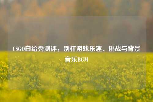 CSGO白给秀测评，别样游戏乐趣、挑战与背景音乐BGM