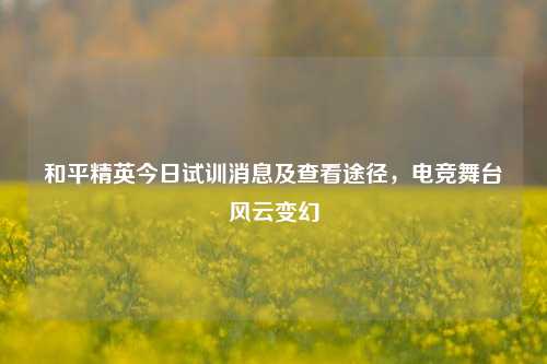 和平精英今日试训消息及查看途径，电竞舞台风云变幻