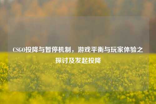 CSGO投降与暂停机制，游戏平衡与玩家体验之探讨及发起投降