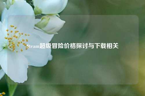 Steam超级冒险价格探讨与下载相关