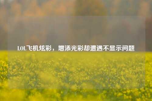 LOL飞机炫彩,增添光彩却遭遇不显示问题