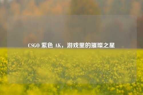 CSGO 紫色 AK，游戏里的璀璨之星