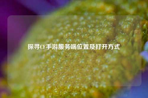 探寻CF手游服务端位置及打开方式