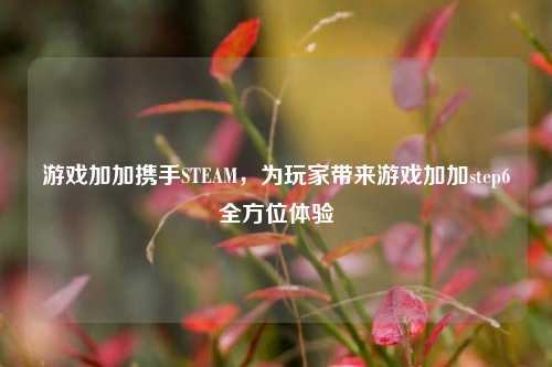 游戏加加携手STEAM,为玩家带来游戏加加step6全方位体验