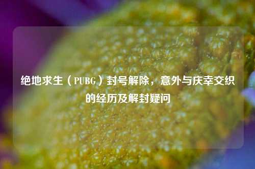 绝地求生(PUBG)封号解除,意外与庆幸交织的经历及解封疑问