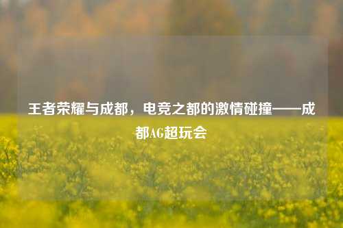 王者荣耀与成都，电竞之都的激情碰撞——成都AG超玩会