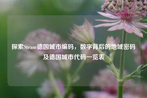 探索Steam德国城市编码，数字背后的地域密码及德国城市代码一览表