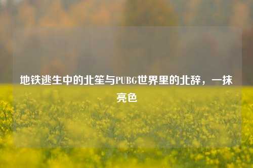 地铁逃生中的北笙与PUBG世界里的北辞，一抹亮色