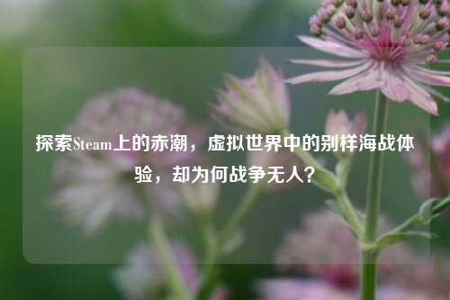 探索Steam上的赤潮，虚拟世界中的别样海战体验，却为何战争无人？