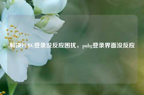 解决PUBG登录没反应困扰，pubg登录界面没反应