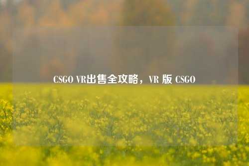 CSGO VR出售全攻略，VR 版 CSGO