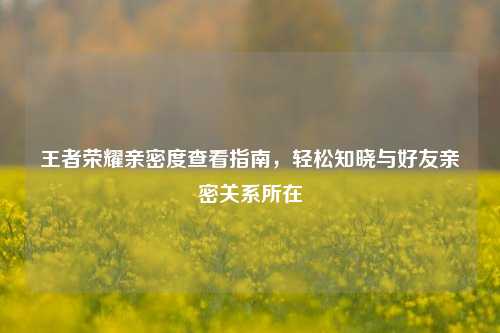 王者荣耀亲密度查看指南,轻松知晓与好友亲密关系所在
