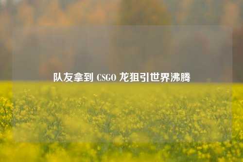 队友拿到 CSGO 龙狙引世界沸腾