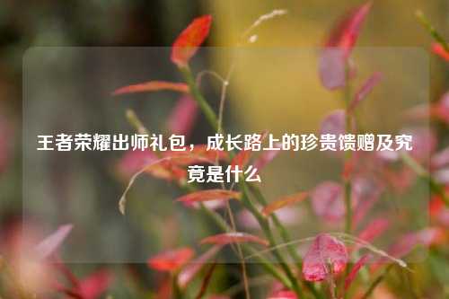王者荣耀出师礼包，成长路上的珍贵馈赠及究竟是什么