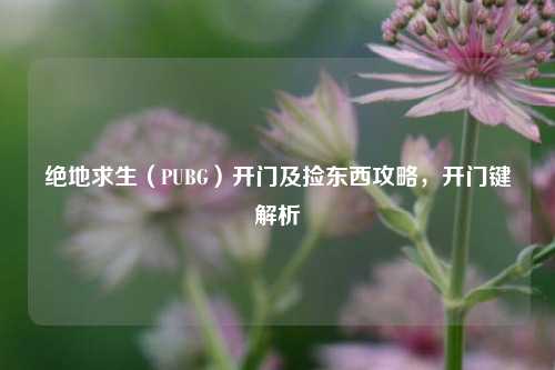 绝地求生（PUBG）开门及捡东西攻略，开门键解析