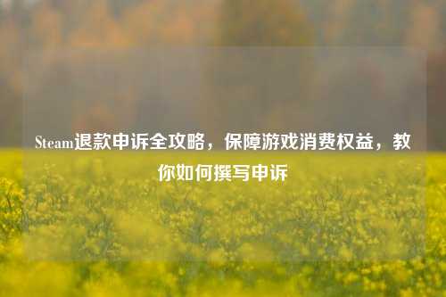 Steam退款申诉全攻略,保障游戏消费权益,教你如何撰写申诉