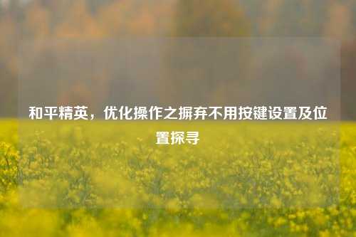 和平精英，优化操作之摒弃不用按键设置及位置探寻