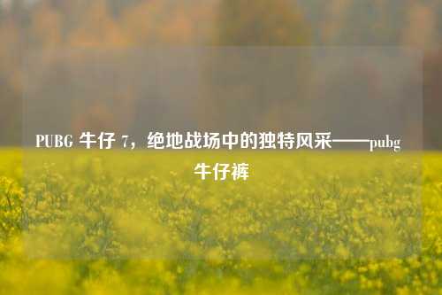PUBG 牛仔 7，绝地战场中的独特风采——pubg 牛仔裤