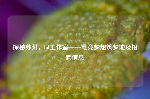 探秘苏州,lol工作室——电竞梦想筑梦地及招聘信息