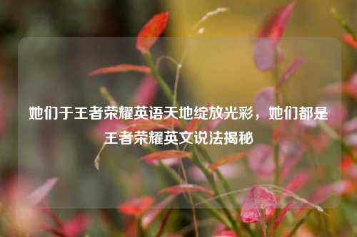 她们于王者荣耀英语天地绽放光彩，她们都是王者荣耀英文说法揭秘