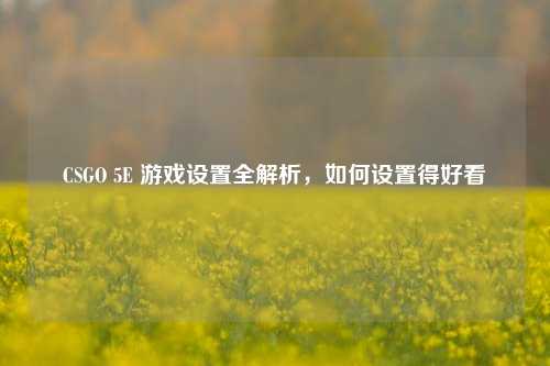 CSGO 5E 游戏设置全解析，如何设置得好看