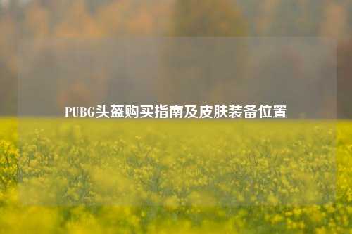 PUBG头盔购买指南及皮肤装备位置