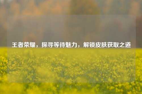 王者荣耀，探寻等待魅力，解锁皮肤获取之道