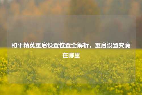 和平精英重启设置位置全解析，重启设置究竟在哪里