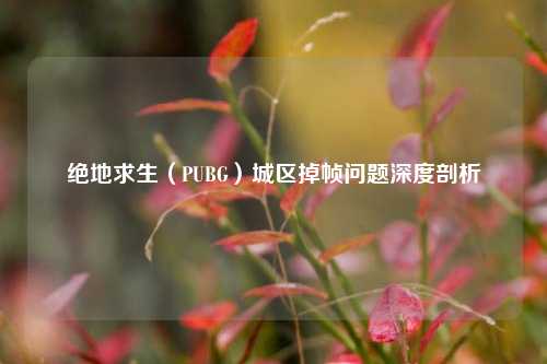 绝地求生(PUBG)城区掉帧问题深度剖析