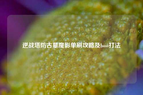 逆战塔防古墓魔影单刷攻略及boss打法