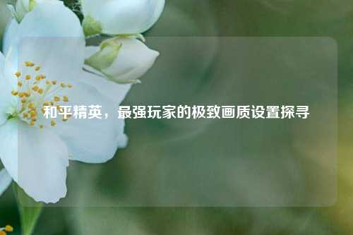 和平精英，最强玩家的极致画质设置探寻