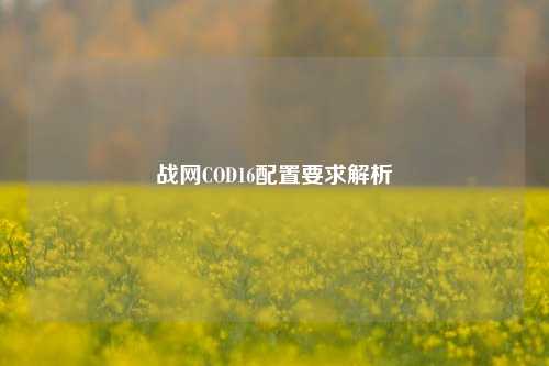 战网COD16配置要求解析