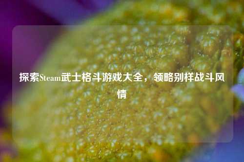探索Steam武士格斗游戏大全，领略别样战斗风情
